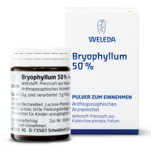 BRYOPHYLLUM 50% Pulver zum Einnehmen