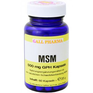 MSM 500 mg GPH Kapseln