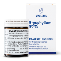 BRYOPHYLLUM 50% Pulver zum Einnehmen